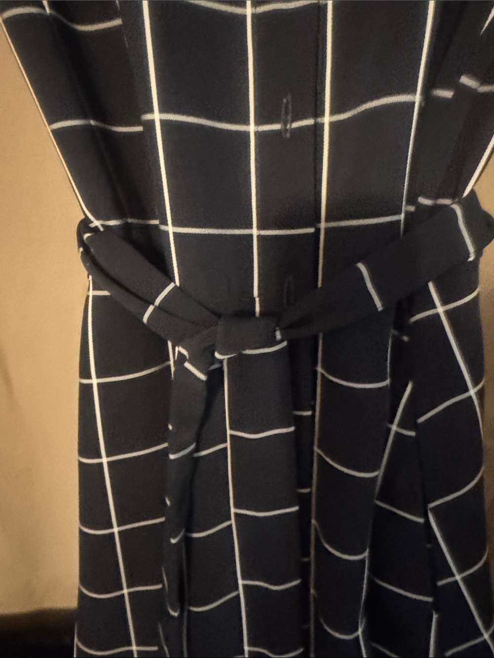 Maggy London Navy Blue and White Windowpane Sleeveless Maxi Shirtdress - Picture 5 of 10